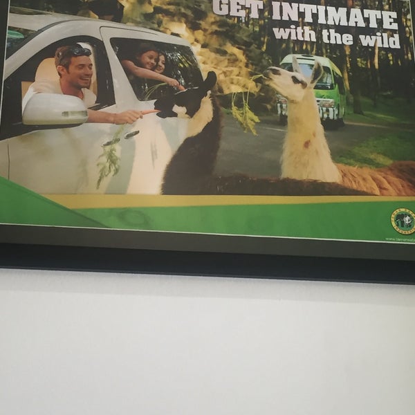Photos At Taman Safari Jakarta Office Office In Kebayoran Baru