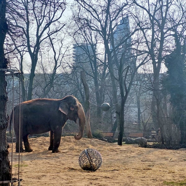 Foto diambil di Zoo Berlin oleh Reinhard S. pada 3/4/2024