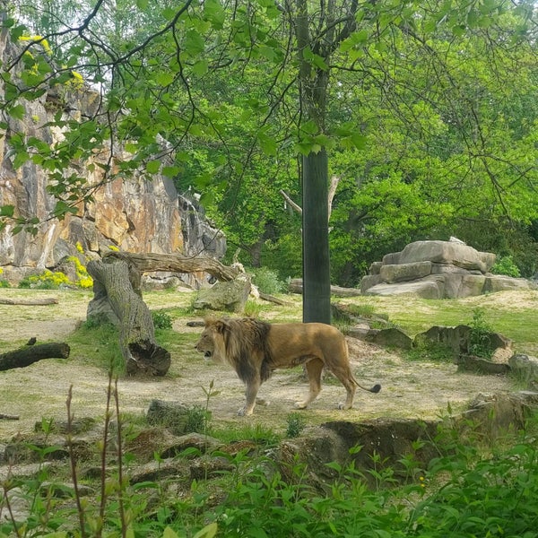รูปภาพถ่ายที่ Zoo Berlin โดย Reinhard S. เมื่อ 4/26/2024