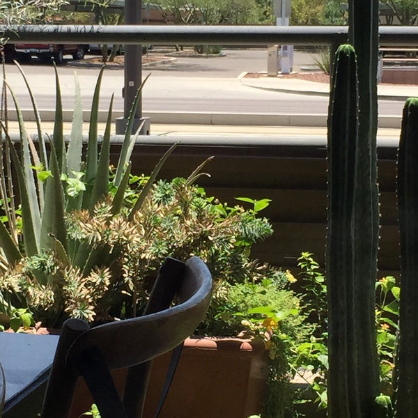 Beautiful interior & patio is rimmed with drought-tolerant plants