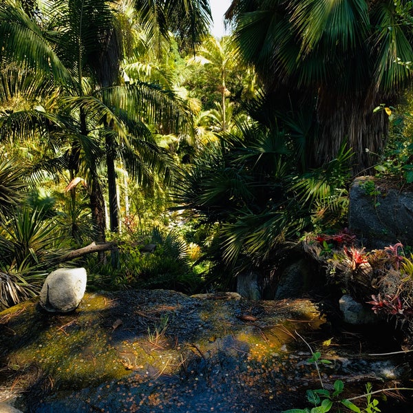 Fully Loaded Micro Juicery Juice Bar in Encinitas