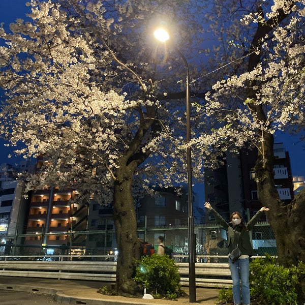 Photos At 巣鴨桜並木通り Other Great Outdoors In 豊島区