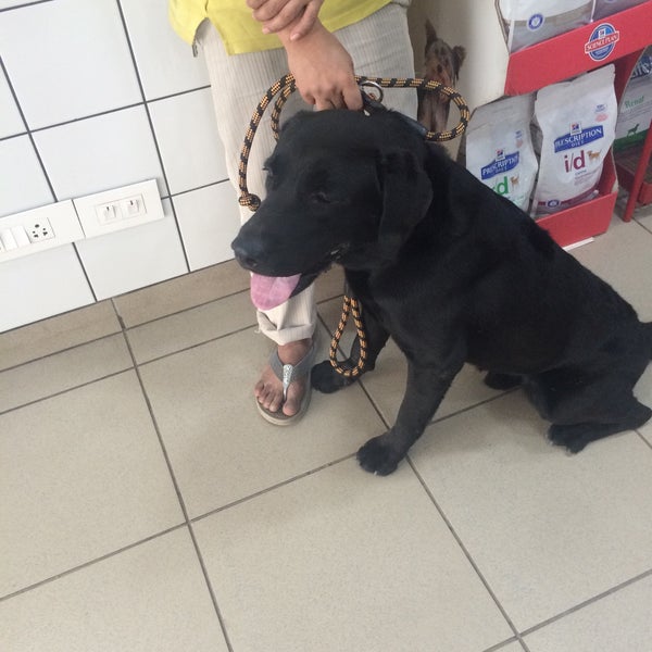 neeti bagh pet clinic