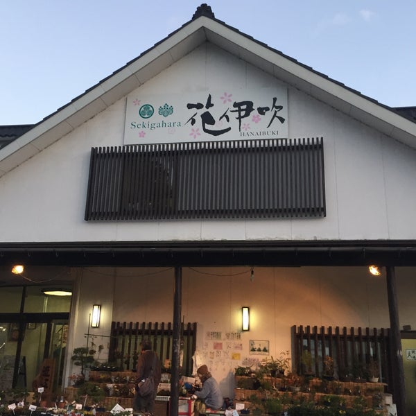 Fotos Em Sekigahara 花伊吹 関ケ原1707 2