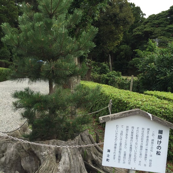 綱掛けの松 海士 綱掛けの松 海士