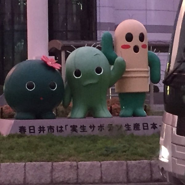 春日井市は 実生サボテン生産日本一 春日井市は 実生サボテン生産日本一