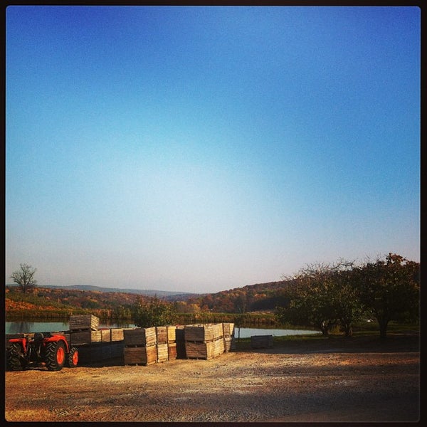 Brace's Orchard R R 3 Box 239, Brace Road