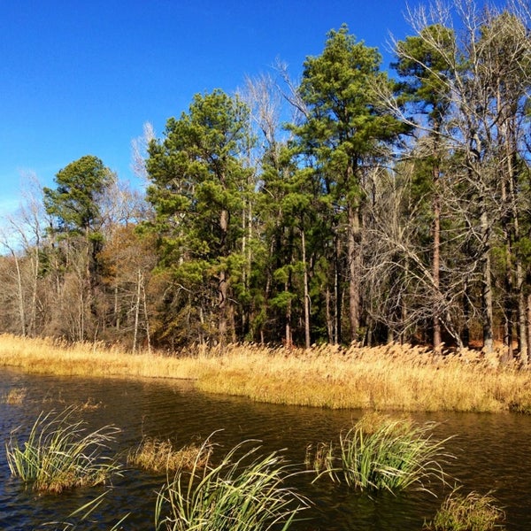 Cypress Black Bayou Benton, LA
