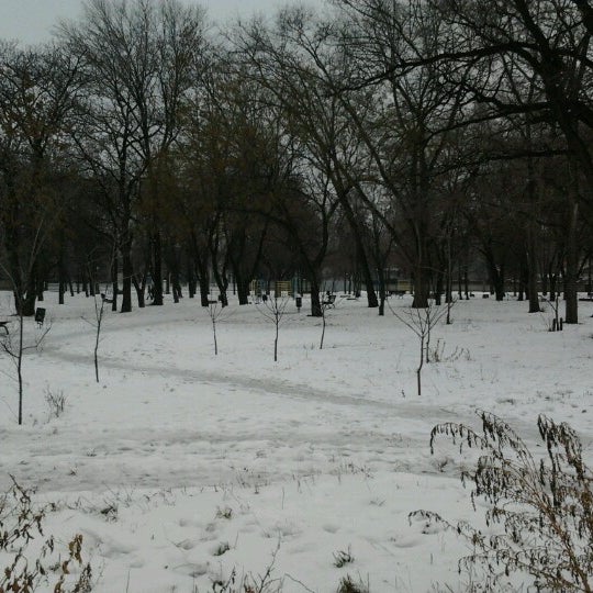 Пионерский парк чита