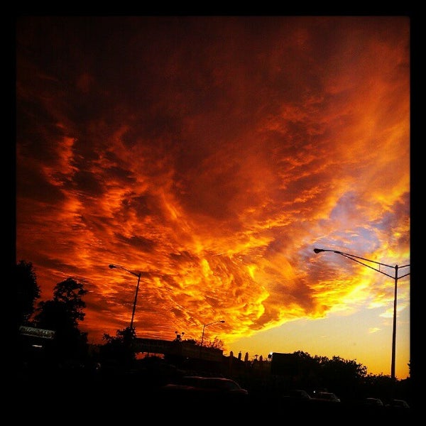 Queens Library at Rosedale 69 visitors