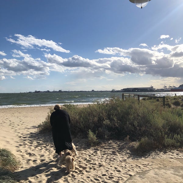 Port Melbourne Dog Beach Dog Park