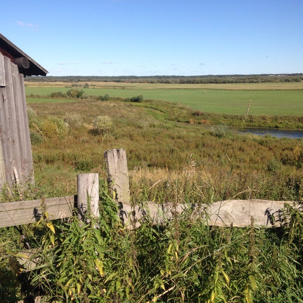 Моржегоры виноградовского района архангельской области. Моржегоры архангельская. Моржегоры виноградовского района архангельской области. Моржегоры виноградовского района архангельской области. Деревня моржегоры архангельская область виноградовский район.