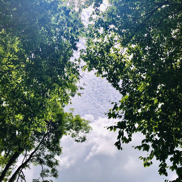 Cohutta Overlook Chatsworth, GA