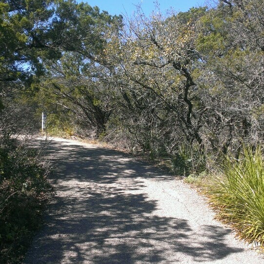 Are Dogs Allowed At Eisenhower Park San Antonio