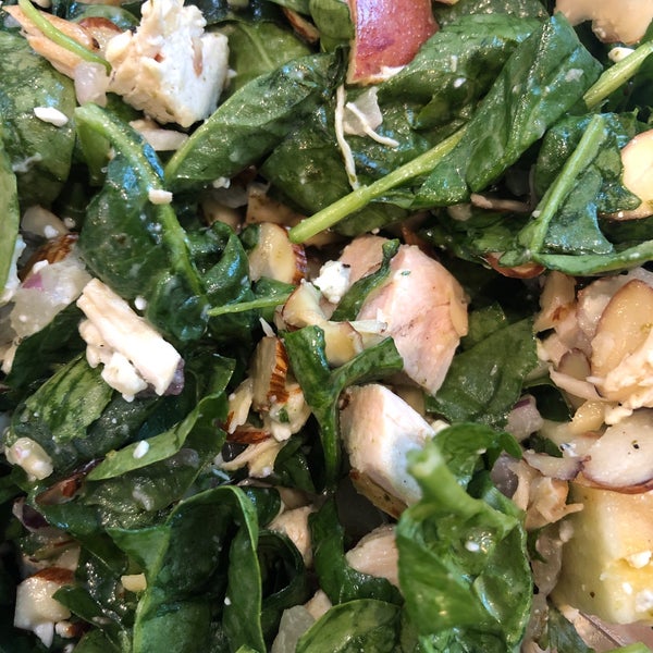 Giardino Gourmet Salads Coral Gables Section 2346 Ponce de Leon Blvd