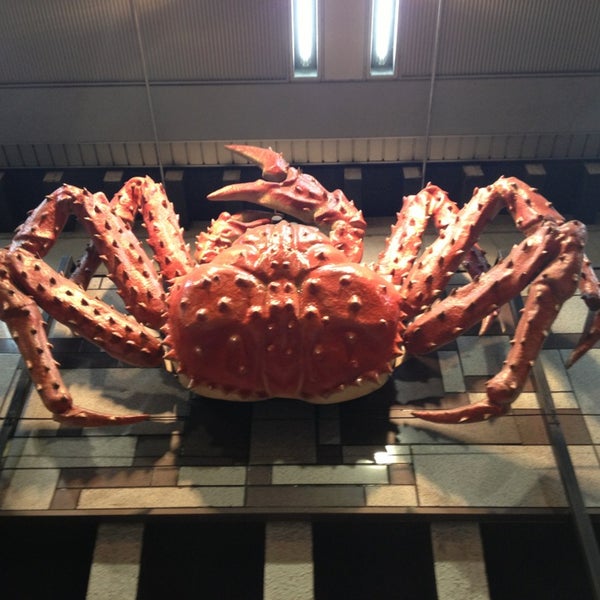Photos At 北海道かに将軍 岐阜店 Japanese Restaurant In 岐阜市