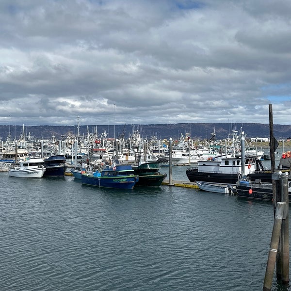 Homer boat harbor Homer, AK