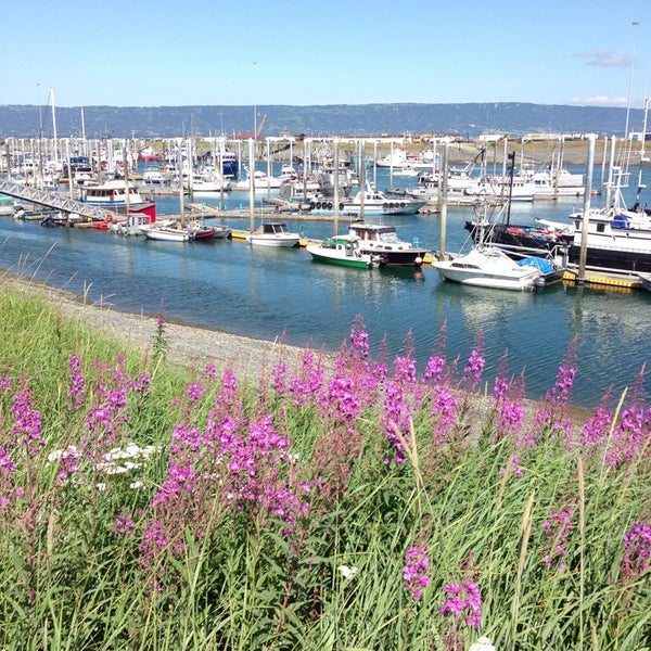 Homer boat harbor Homer, AK