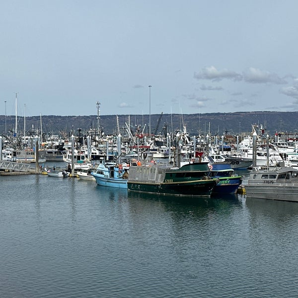 Homer boat harbor Homer, AK