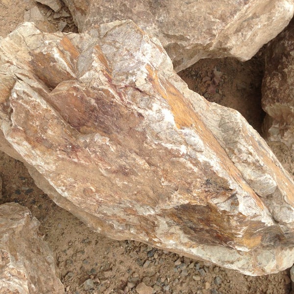 Pioneer Landscape Centers Construction & Landscaping in Midvale Park