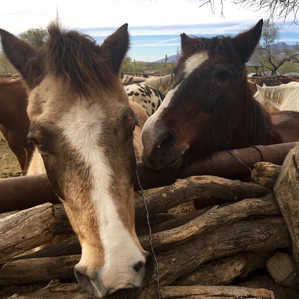 Photo taken at Tanque Verde Ranch by Gary M. on 2/7/2016