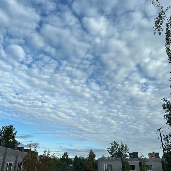 Value Village Russian Jack Park Anchorage, AK