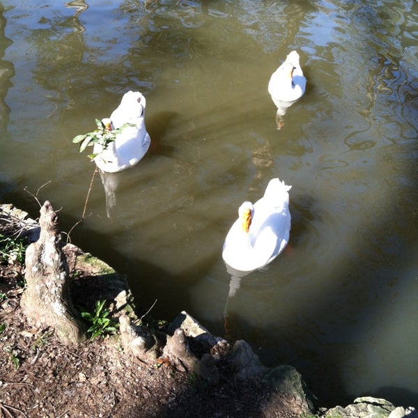 Photos at Sam Houston Home (Duck Pond Park) Historic Site in Huntsville