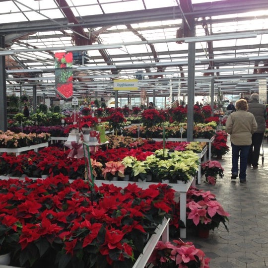 48+ Blumen Risse Dortmund Öffnungszeiten, 58, 44289, dortmund