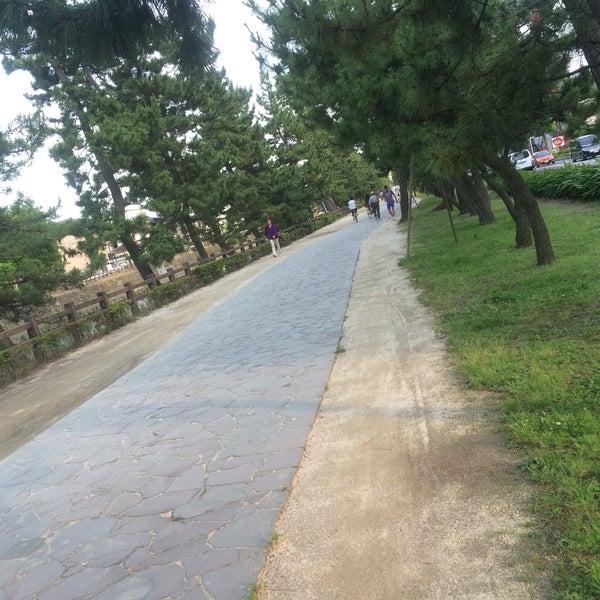草加松原遊歩道 松並木 Trail 草加松原遊歩道 松並木 Trail