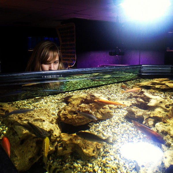 Photos at Lebanon Pet and Aquarium Center Pet Store in West Lebanon