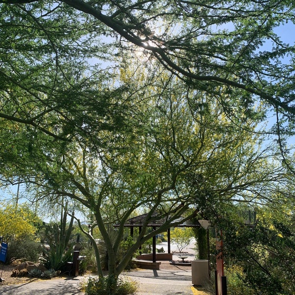 Das Foto wurde bei Desert Botanical Garden von The T. am 4/28/2023 aufgenommen