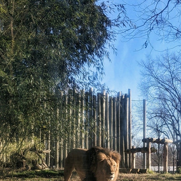 Foto tirada no(a) Maryland Zoo in Baltimore por Hassan A. em 1/24/2021
