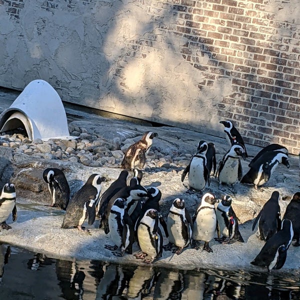 Foto tomada en Maryland Zoo in Baltimore  por Hassan A. el 1/24/2021
