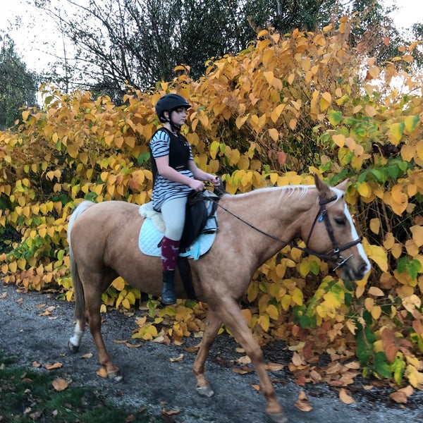 10/26/2017에 Nicole D.님이 Southlands Riding Club에서 찍은 사진