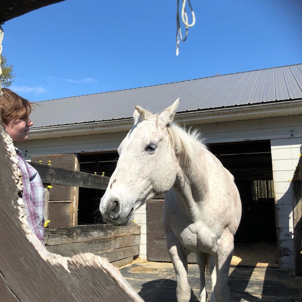 4/22/2018에 Nicole D.님이 Southlands Riding Club에서 찍은 사진