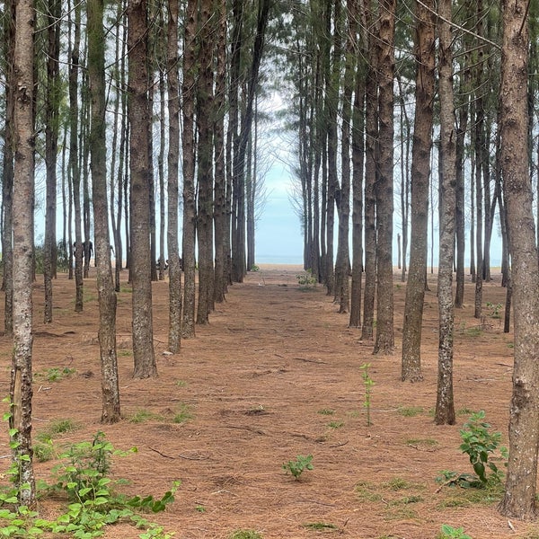 Photos A Pantai Senok Plage