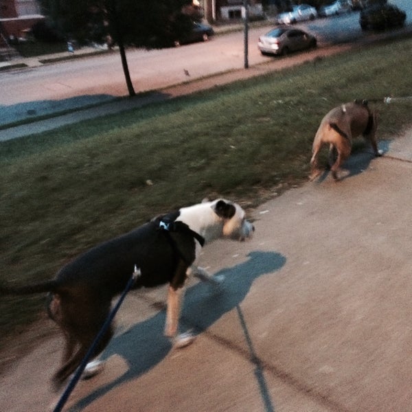 Benton Park Benton Park 5 tips