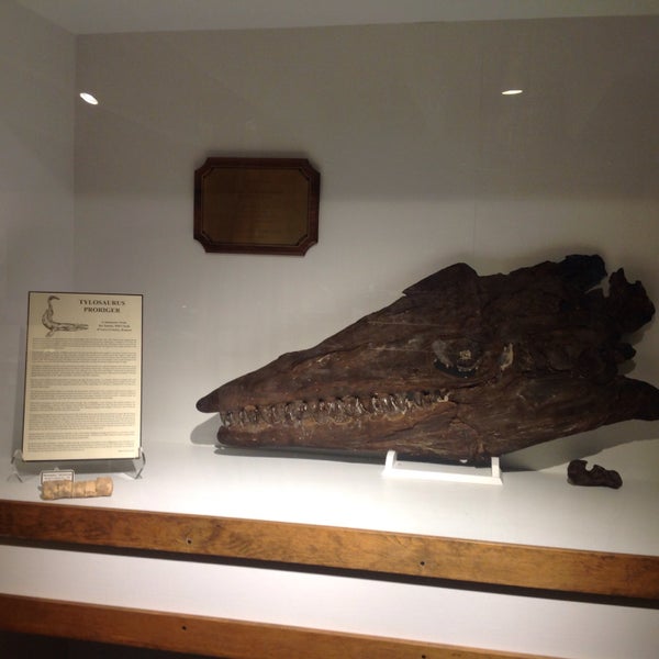Fick Fossil and History Museum 2 tips
