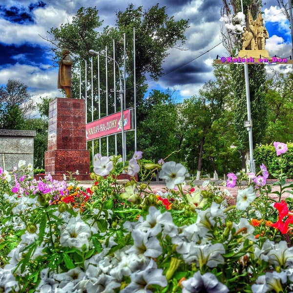 Цветы калач на дону. Цветы калач на дону