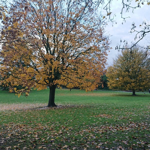 Clarence Park Park