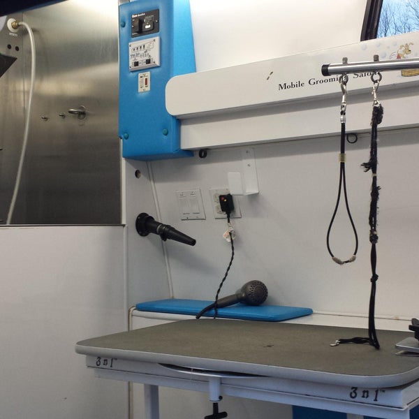 dog gone clean mobile pet grooming