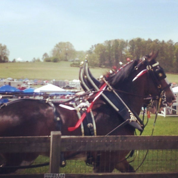 Kingston Downs Steeplechase Rome, GA