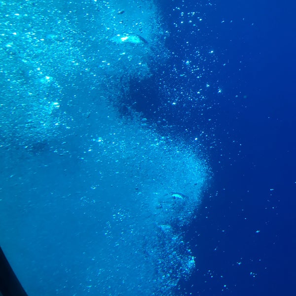 Photo taken at Atlantis Submarines Maui by Anna F. on 7/1/2017