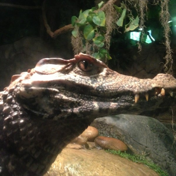 Das Foto wurde bei Cameron Park Zoo von Michelle D. am 3/18/2013 aufgenommen