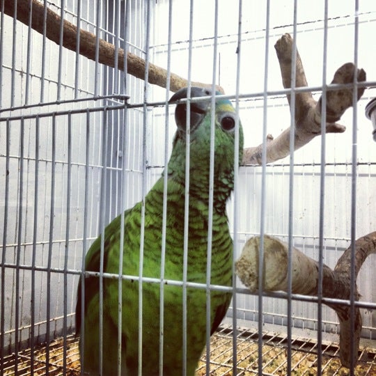 Zoo K9 Pet Supplies Store in Centru