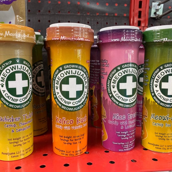 cat paw electronic cat toy orange shorthair paw style