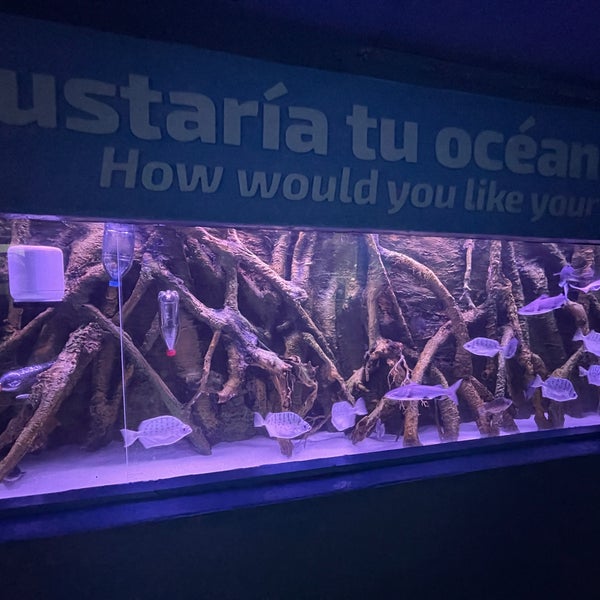 Foto tirada no(a) Aquarium Cancun por Jesus B. em 10/10/2022