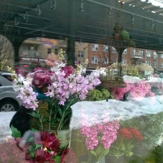 Petals & Roots 3127 31st St