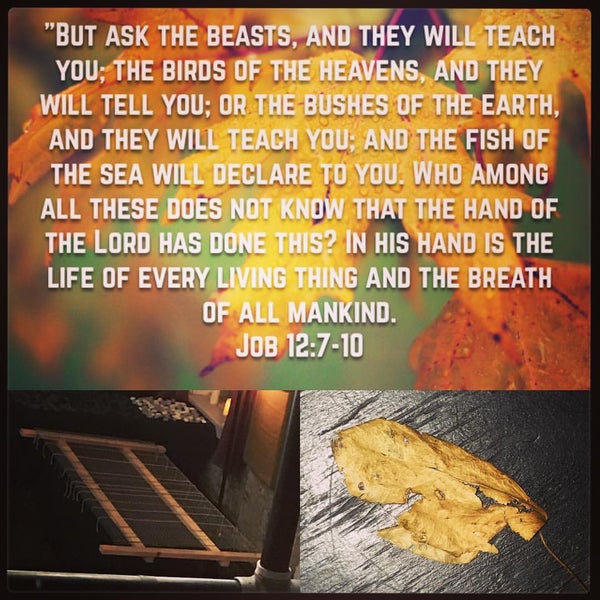 The Anchor Fellowship 2 tips from 190 visitors