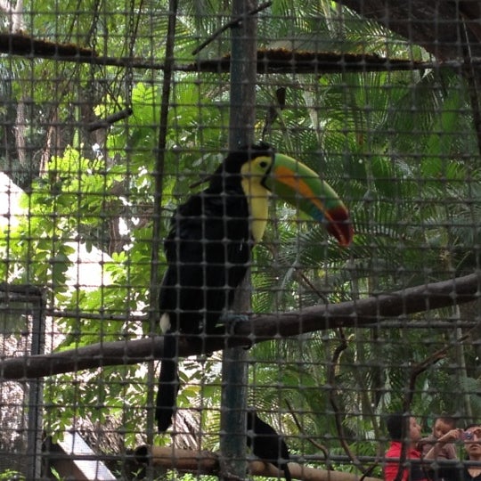 Fotos en Museo de Historia Natural José Narciso Rovirosa 11 tips